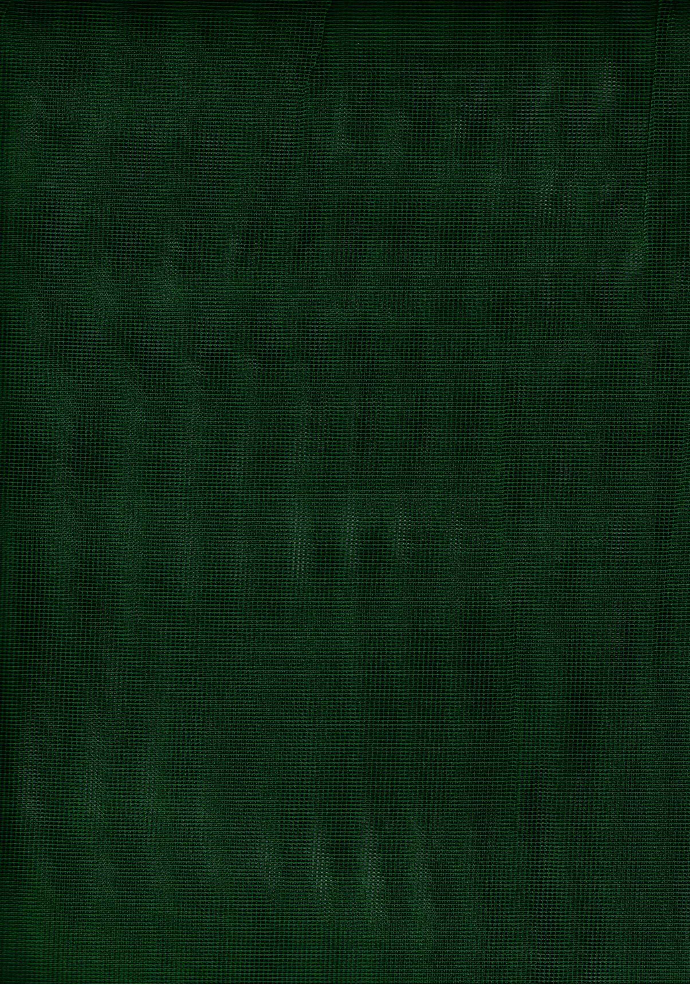 Foto 4 di 4