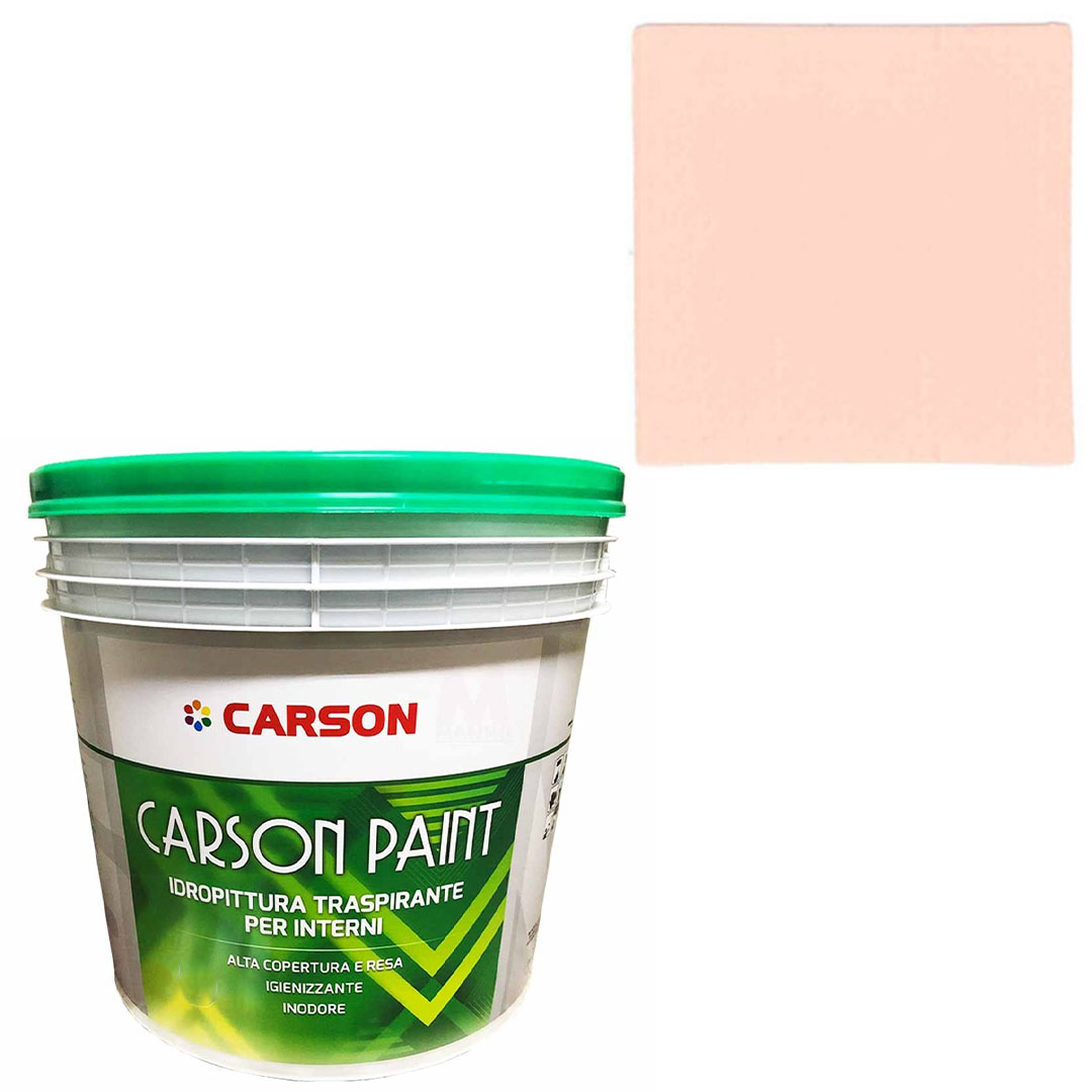 Pittura murale traspirante Muri Pareti Interni Idropittura coprente Carson Paint - Foto 51 di 202