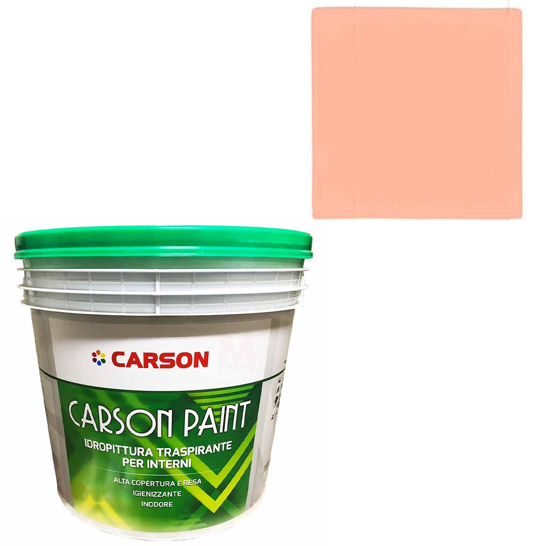 Pittura murale traspirante Muri Pareti Interni Idropittura coprente Carson Paint - Foto 115 di 202