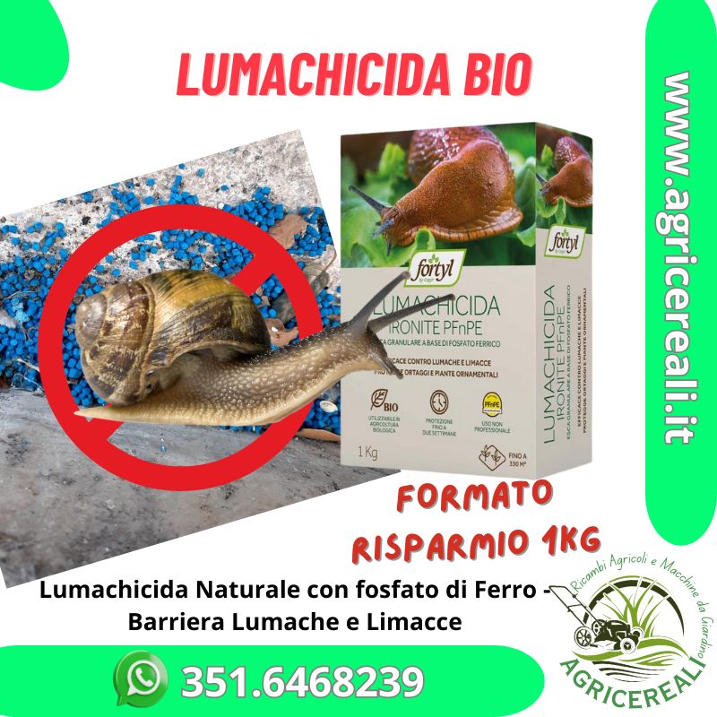 Immagine prodotto 1837314