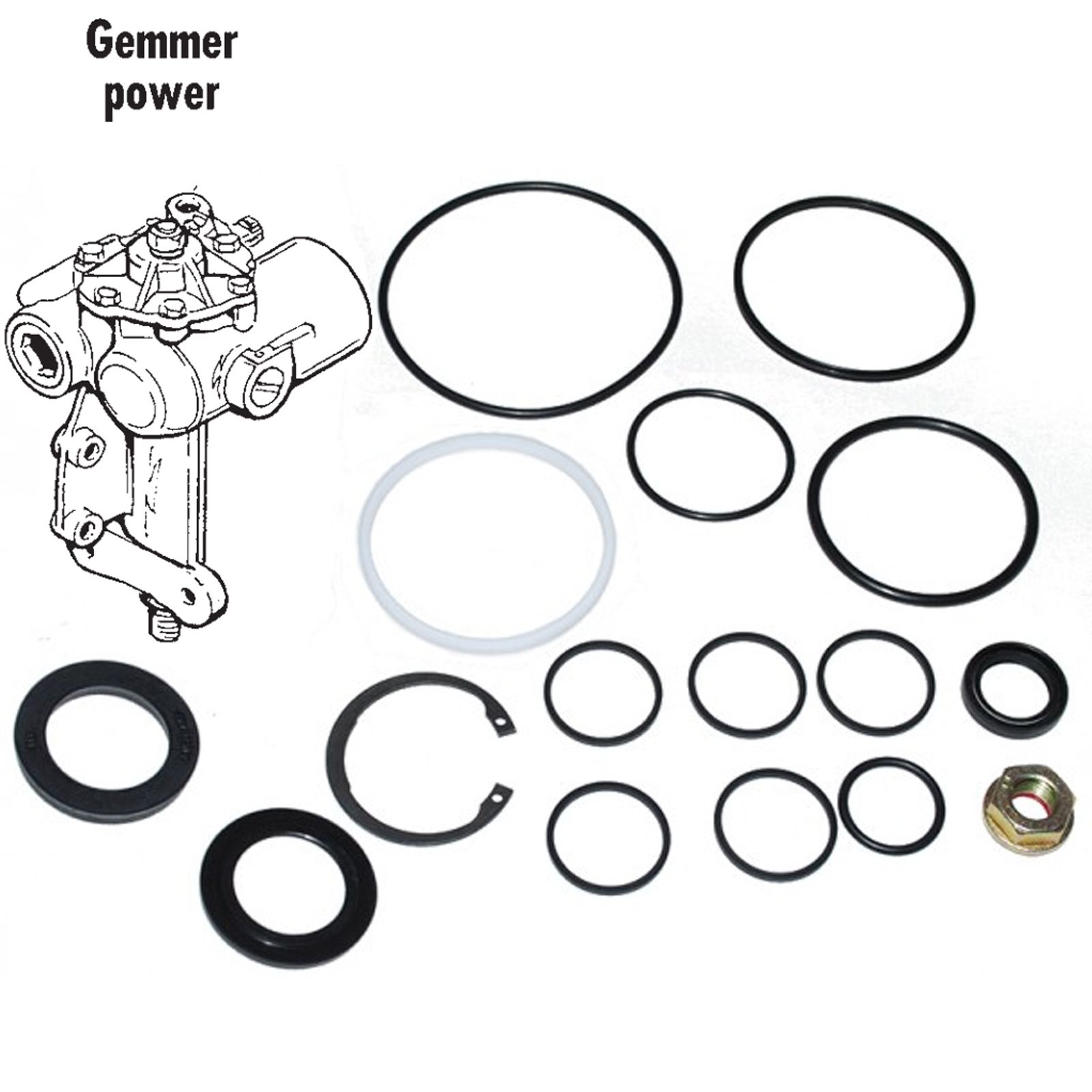 Set Guarnizioni Inferiori Scatola Sterzo Discovery 2 - Foto 13