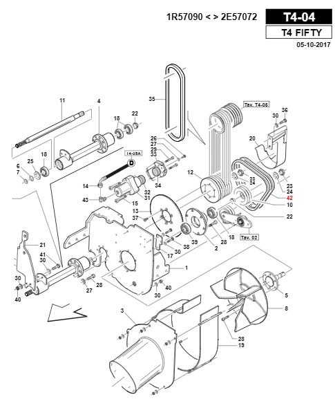 Belt Trapezoidal Models TURBO4 Fifty Original Gianni Ferrari 00.17
