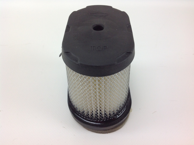 FILTRO ARIA per BRIGGS & STRATTON QUANTUM ALTO